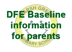 DFE BASELINE INFO